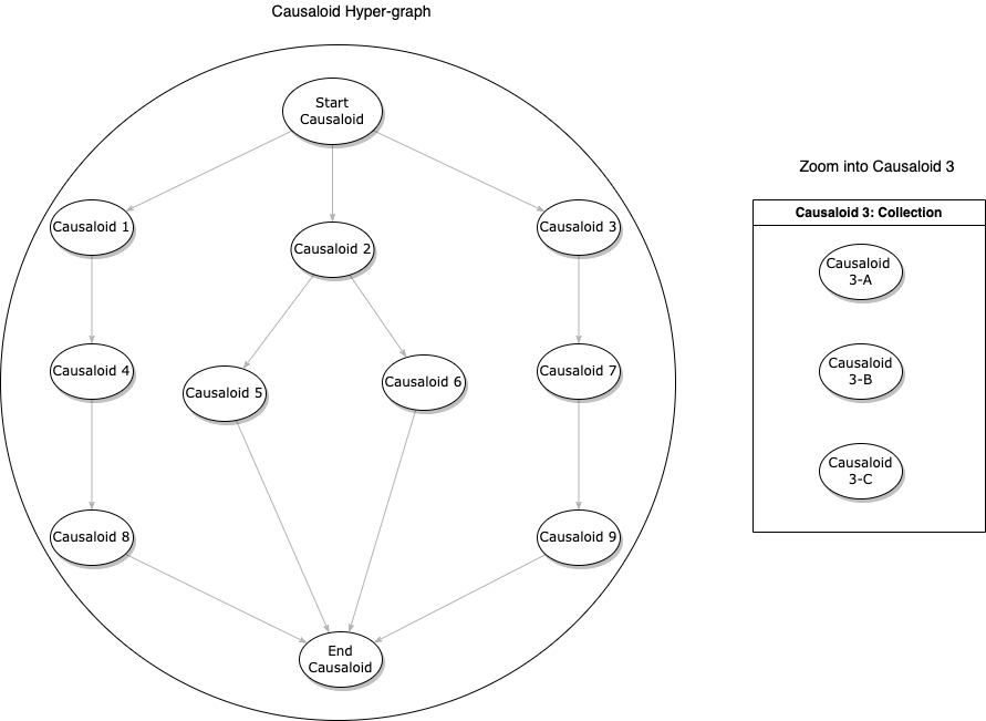 Causaloid diagram